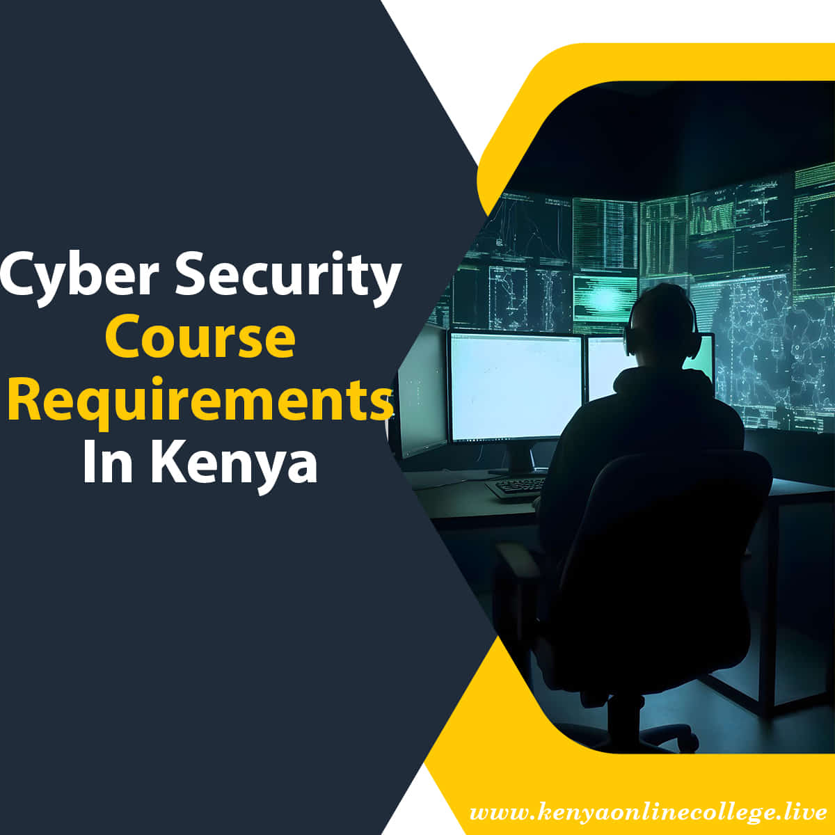 Cyber security course requirements in Kenya